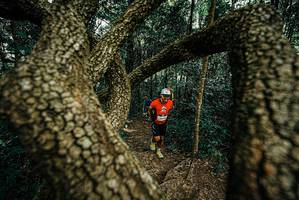 BIB: 
                            <button type="button" onclick="openModal(25669654)" class="btn btn-primary btn-sm float-right btn-popup" data-toggle="modal" data-target=".modal-high-quality">
                        <i class="fas fa-shopping-cart"></i> Add to Cart
                    </button>
                                            <button type="button" onclick="isThisMe(25669654, true)" class="btn btn-success btn-sm float-right btn-popup btn-isme hidden" data-toggle="tooltip" data-placement="bottom" title="นี่คือรูปของคุณใช่ไหม คลิกที่นี่เพื่อเอาเข้าอัลบั้ม">
                        <i class="fas fa-plus"></i> Add to album
                    </button>
                    <button type="button" onclick="isThisMe(25669654, false)" class="btn btn-warning btn-sm float-right btn-popup btn-isnotme hidden">
                        <i class="fas fa-ban"></i> Remove from album
                    </button>